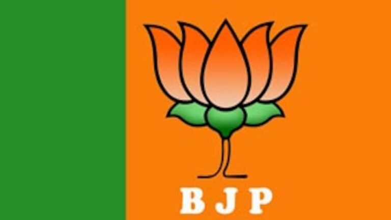 bjp-flag-_new_325_110713094023.jpg