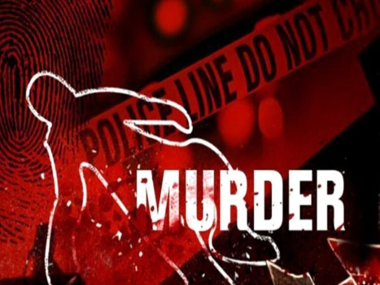 murder_1709728476.jpeg