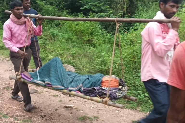image_editor_output_image1165051165-1759645351422.jpg