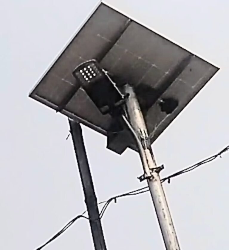 IMG-20260316-WA0001.jpg