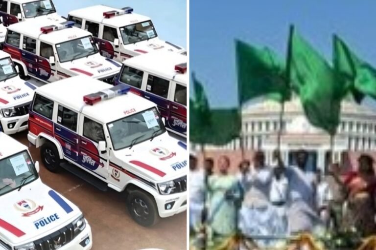 image_editor_output_image1786161499-1773392178694.jpg