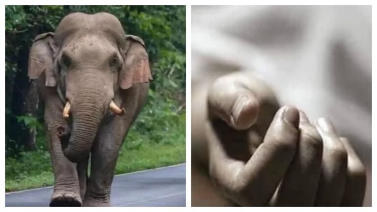 1200-675-23190438-thumbnail-16x9-khuntielephantattackcollage-aspera