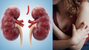 1200-675-27233632-thumbnail-16x9-kidney.jpg