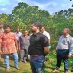 आज तक नहीं लगा प्रोसेसिंग प्लांट, औने-पौने दाम पर बिकते हैं काजू, मुख्यमंत्री व जिला प्रशासन ने लिया संज्ञान