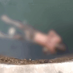 comp-41-3_1785152665.gif