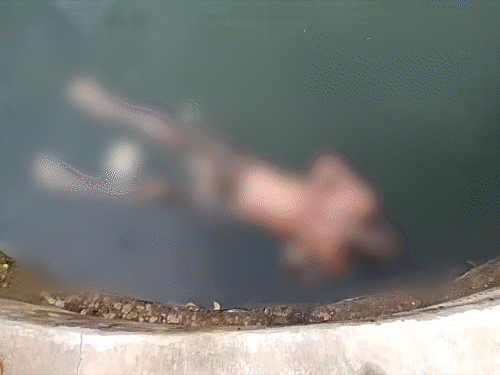 comp-41-3_1785152665.gif