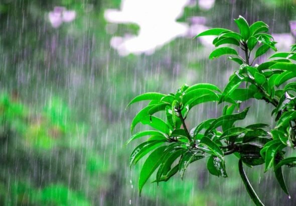 rain-111-1