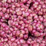 shallot-background_1150-8289